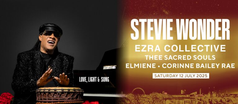 Stevie website min