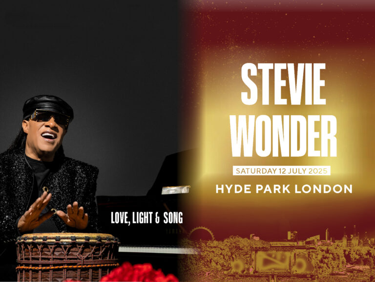 Stevie website3 2