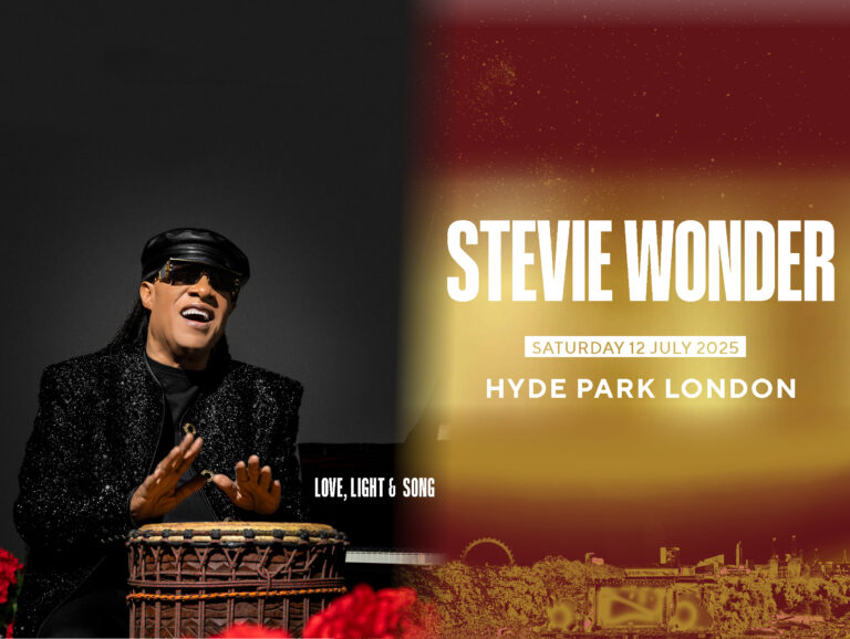Stevie website3