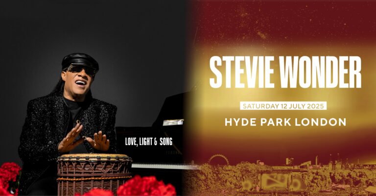 Stevie website min
