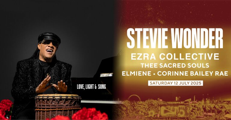 Stevie website min